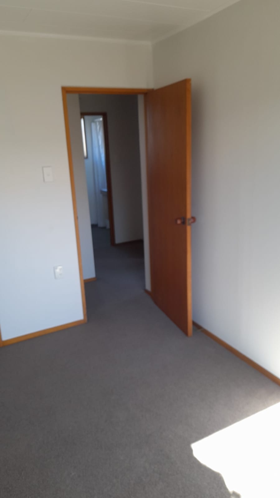 Project 1 image 15